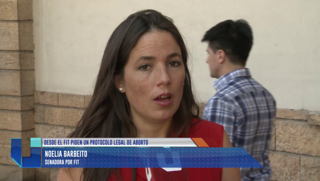 imagen Piden que Mendoza adhiera al protocolo legal del aborto