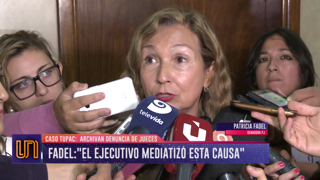 imagen Fadel sobre el caso Tupac: "El ejecutivo mediatizó esta causa"