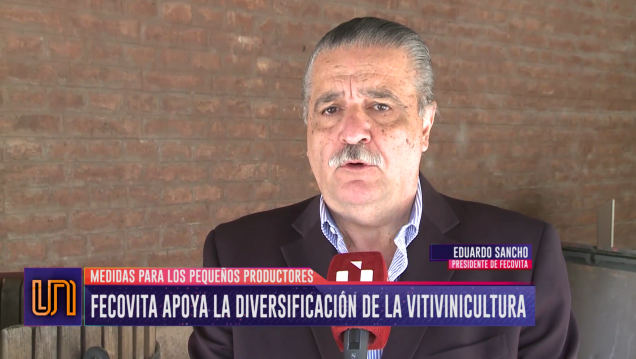 imagen Fecovita apoya el cupo acordado para diversificar la producción de uva