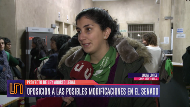 imagen Aborto legal: oposición a posibles cambios en el Senado