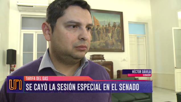 imagen Se cayó la sesión en el Senado contra el tarifazo