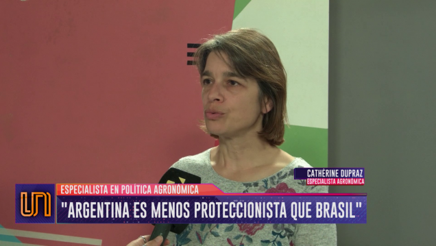 imagen ¿Por qué Argentina es menos proteccionista que Brasil?