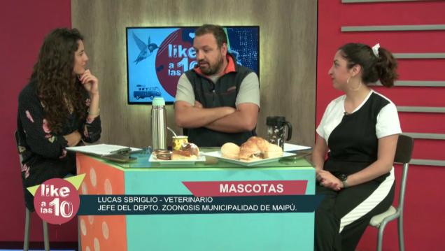 imagen ¿Los mendocinos somos responsables con nuestras mascotas?