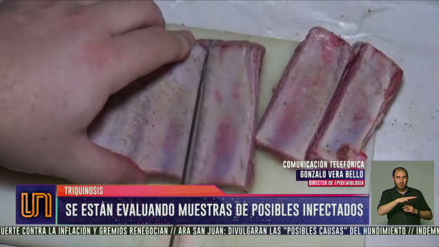 imagen Triquinosis: evalúan muestras de posibles infectados