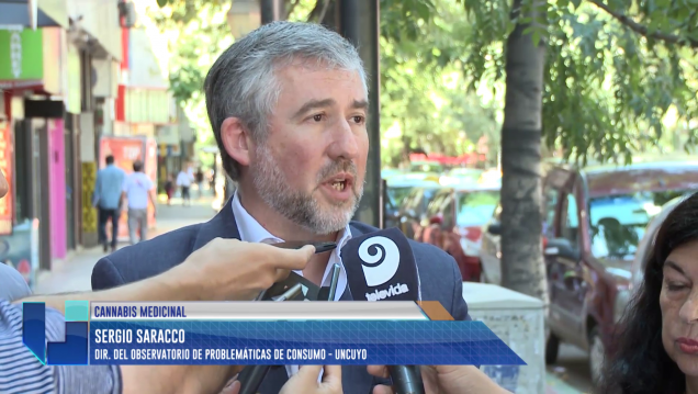 imagen Cannabis medicinal: especialistas dieron su opinión a diputados