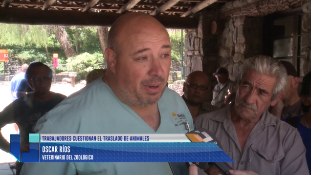 imagen Zoológico: Trabajadores cuestionan el traslado de animales