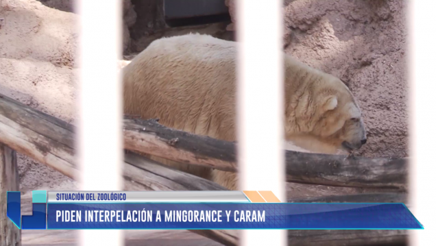 imagen Diputados del FpV quieren interpelar a Caram y Mingorance por el Zoo